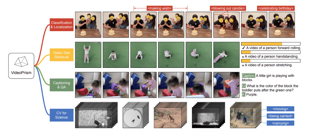 VideoPrism的功能